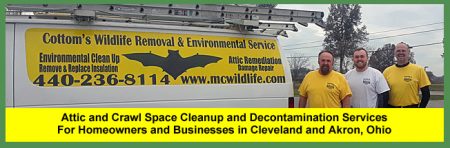 Attic Cleanup Services In Ohio $895+ Animal & Bat Feces Removal